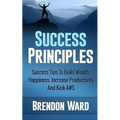 Success Principles: Success Tips To Build Wealth, Happiness, Increase Productivity And Kick A#S