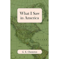 What I Saw in America