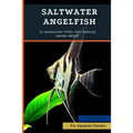 Saltwater Angelfish: 15 Angelfish Types You Should Know About