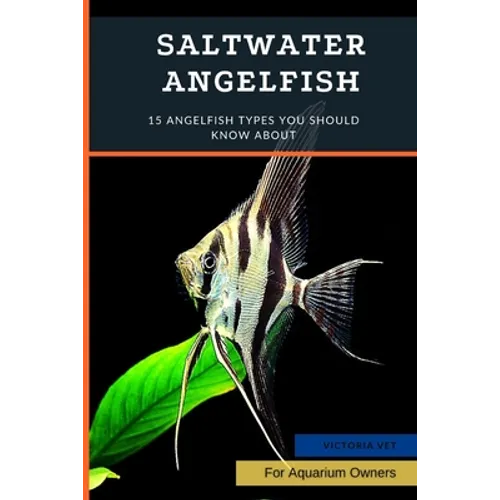 Saltwater Angelfish: 15 Angelfish Types You Should Know About