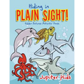 Hiding in Plain Sight! Hidden Pictures Activity Book
