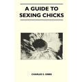 A Guide to Sexing Chicks