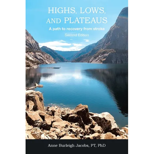 Highs, Lows, and Plateaus: A path to recovery from stroke