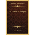 The Gypsies In Hungary