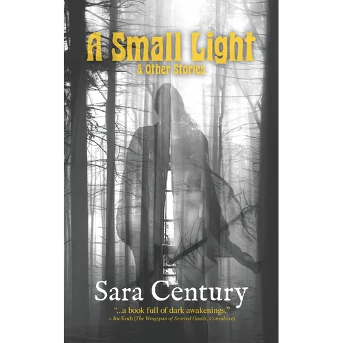 A Small Light & Other Stories