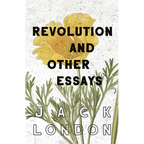 Revolution and Other Essays - Paperback