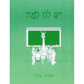Yesh Lanu Llama: Book 1 - Workbook