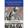The Negro Question Part 3 the Black Pentecost