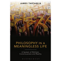 Philosophy in a Meaningless Life: A System of Nihilism, Consciousness and Reality