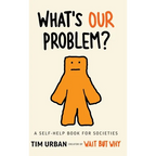 What's Our Problem?: A Self-Help Book for Societies
