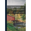 The Turtles of New England