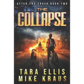 The Collapse: After the Crash Book 2