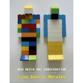 New media art conservation: 2. Evolutive Conservation Theory based on cases