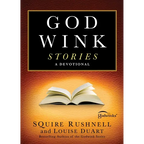 Godwink Stories: A Devotional