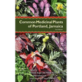 Common Medicinal Plants of Portland, Jamaica