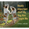 Really Important Stuff My Dog Has Taught Me