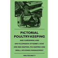 Pictorial Poultry-Keeping And Gardening And Encyclopaedia Of Rabbit, Goat And Bee-Keeping, Pig Keeping And Small Holdings Management