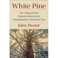 White Pine: The Natural and Human History of a Foundational American Tree