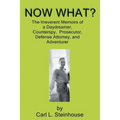 Now What?: The Irreverent Memoirs of a Daydreamer, Counterspy, Prosecutor, Defense Attorney, and Adventurer