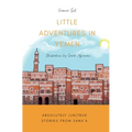 Little Adventures in Yemen: Absolutely (Un)True stories from Sana'a