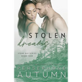 Stolen Dreams
