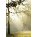 Finding Bigfoot and Other Stories