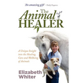 The Animal Healer