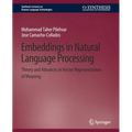 Embeddings in Natural Language Processing: Theory and Advances in Vector Representations of Meaning