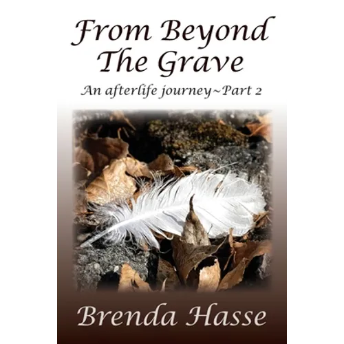 From Beyond The Grave: An afterlife journey Part 2