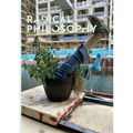 Radical Philosophy 2.12 / Spring 2022