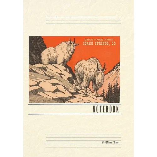 Vintage Lined Notebook Greetings from Idaho Springs, Colorado - Paperback