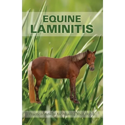 Equine Laminitis