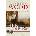 The Fire that Calms the Storm: A Story of the Civil War