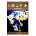 Jellyfish - Discover: Early reader's wildlife photography book