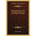 Management And Feeding Of Sheep