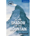 In the Shadow of the Mountain Level 5