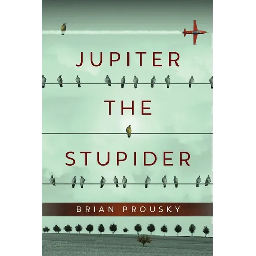 Jupiter the Stupider