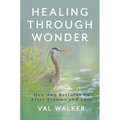 Healing Through Wonder: How Awe Restores Us After Trauma and Loss