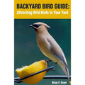 Backyard Bird Guide: Attracting Wild Birds to Your Yard