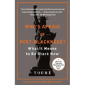 Who's Afraid of Post-Blackness?: What It Means to Be Black Now
