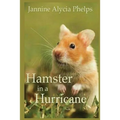 Hamster in a Hurricane