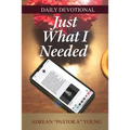 Just What I Needed: Daily Devotional