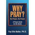 Why Pray? No Prayer, No Power: A Prayer Guide for the Saints - Paperback
