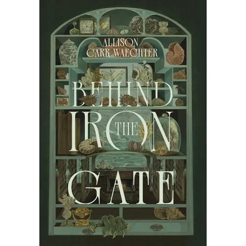 Behind the Iron Gate