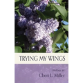 Trying my Wings