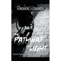 The Patway of Light