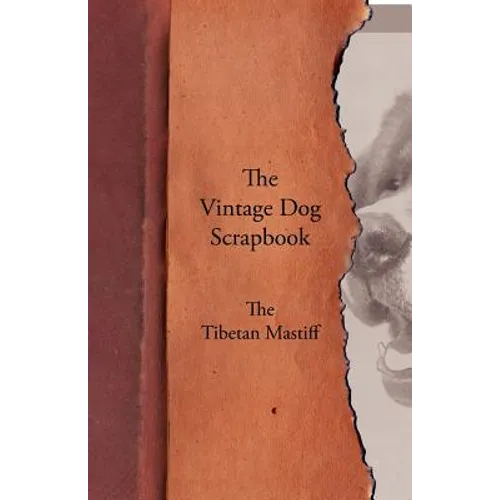 The Vintage Dog Scrapbook - The Tibetan Mastiff