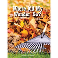 Where Did My Wonder Go?