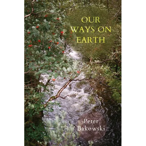 Our Ways on Earth