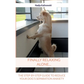 Finally relaxing alone...: The step-by-step guide to reduce your Dog's separation anxiety